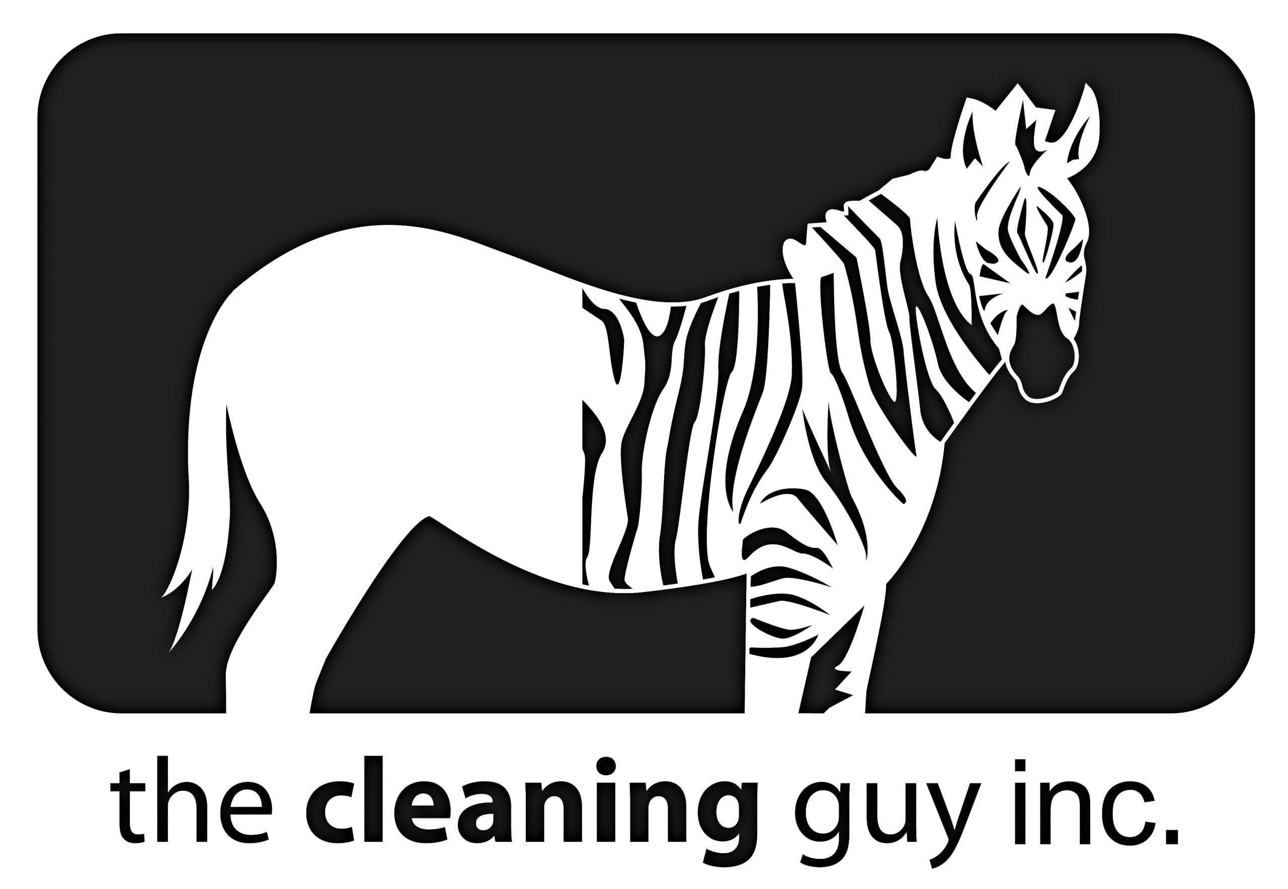 The Cleaning Guy