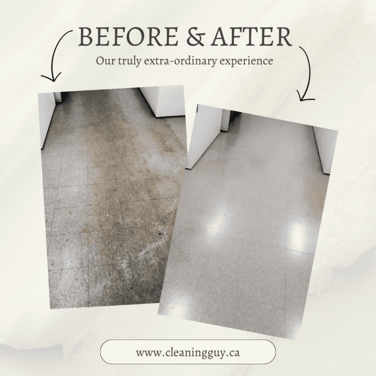 Before after cleaning